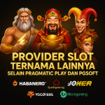 Provider Slot Ternama